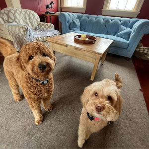 Meet your Posher, Brendan